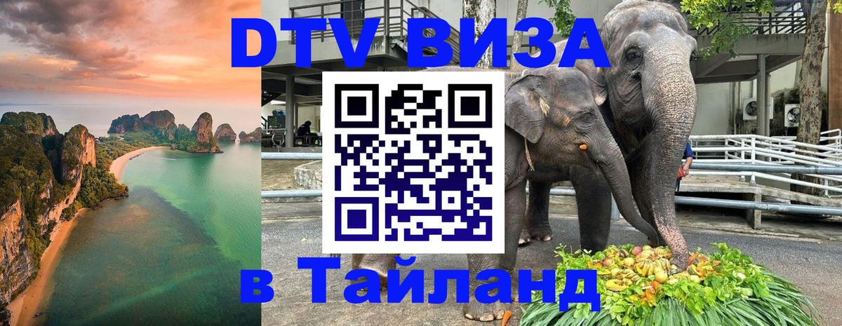 Купить DTV визу в Таиланд Мытищи 